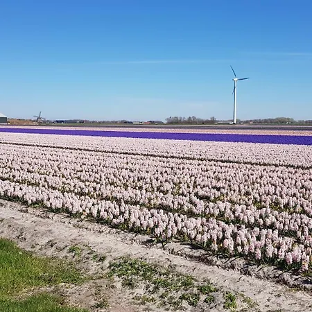 De Weide Blick Vakantiehuis *